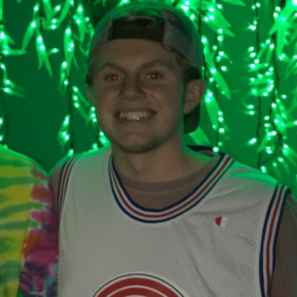 Meet your Posher, Quinn - Picture 1 of 1